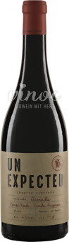 UNEXPECTED Garnacha Tinto 2022 Pago Ayles