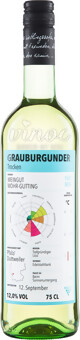 Grauburgunder QW Pfalz ECOVIN 2022 Weingut Mohr-Gutting