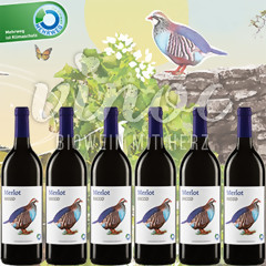 Becco Merlot Paket 6 Flaschen