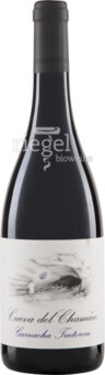 Garnacha Tintorera CUEVA DEL CHAMÁN Almansa D.O. 2025 Santa Cruz de Alpera